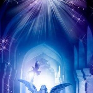 Meet your Posher, Alice